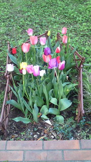 201304071734000.jpg