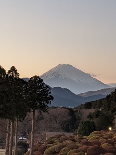 IMG_20191214_164503.jpg